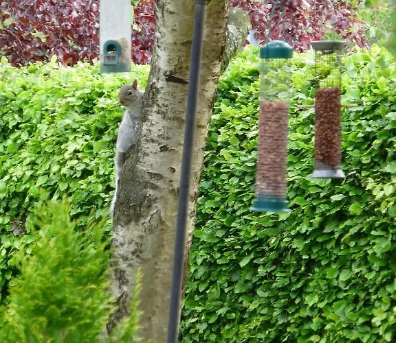 Guest house Muncaster Country Ravenglass